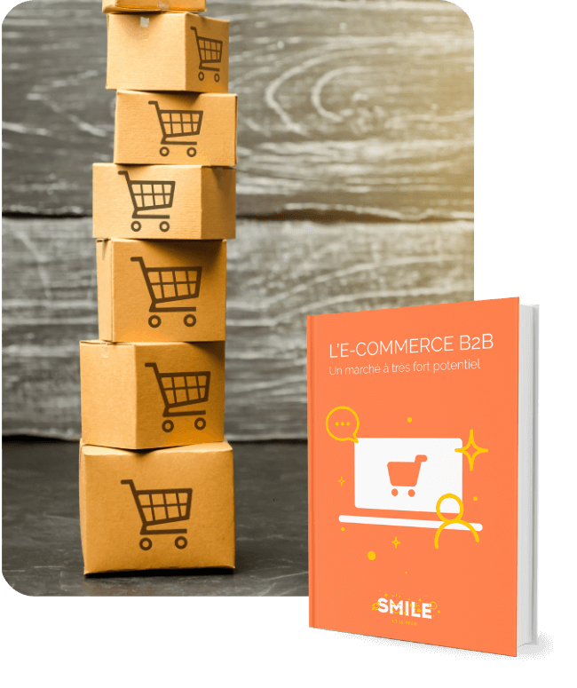 images_Livre_Blanc-Ecommerce_B2B